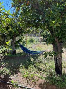 A garden outside Oasis in the mountain, Quebrada Alvarado, Olmué
