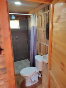 a bathroom with a toilet and a sink at La madriguera de Guatavita Sta María in Guatavita