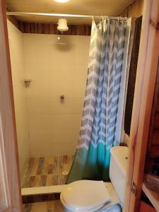 a bathroom with a toilet and a shower at La madriguera de Guatavita Sta María in Guatavita +62 photos