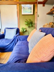 奄美市にあるNagahama House -奄美大島のテラス付一棟貸切-の青いベッド(枕付)