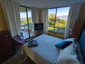 a bedroom with a bed and a view of the ocean at Amplio y hermoso departamento con vista al mar in Lilén