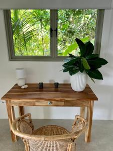 un tavolo in legno con una pianta in una finestra di Palm Beach Kamburugamuwa a Kamburugamuwa Altre 31 foto