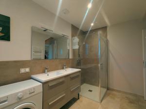 a bathroom with a sink and a shower at Gîte charmant avec parking, animaux acceptés, près du Château de Clavières - FR-1-591-718 in Ardentes +9 photos