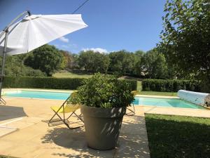 Maison périgourdine avec piscine privée, Wifi, animaux acceptés à proximité de Lascaux - FR-1-616-460 في تيراسون: نبات في وعاء ومظلة بجوار حمام السباحة +17 صورة