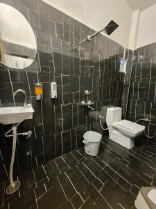 Katarniān GhātEarth Home Katarniaghat的浴室里有洗手池、马桶和镜子。