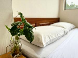 Postel nebo postele na pokoji v ubytování Town Inn Hotel - Rainforest