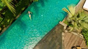 an overhead view of a man swimming in a swimming pool at Blue Karma Dijiwa Ubud in Ubud