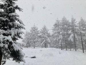コテージコッタロ im Winter