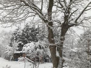 コテージコッタロ im Winter
