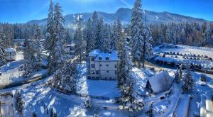 an aerial view of a resort in the snow at Hotel Iceberg Borovets in Borovets