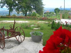 Zahrada ubytování Agriturismo Borgo San Martino