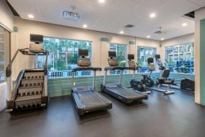 Fitness centrum a/nebo fitness zařízení v ubytování Hilton Vacation Club Aqua Sol Orlando West