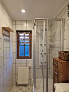 Phòng tắm tại Family House Bad Goisern am Hallstättersee +22 ảnh