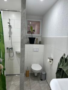 a white bathroom with a toilet and a plant at Ferienwohnung Musche in Bad Frankenhausen +11 photos