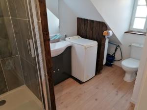 a bathroom with a toilet and a sink and a shower at Bel appartement en plein centre in Lamballe