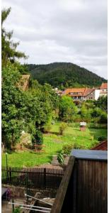 Φυσικό τοπίο κοντά σε αυτό το διαμέρισμα