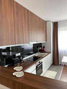 Kuchyň nebo kuchyňský kout v ubytování pazaric residence