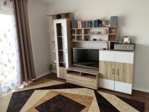 a living room with a tv and a book shelf at Ferienhaus am Geiersberg in Walkenried