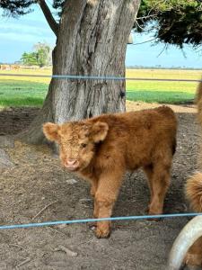 Φωτογραφία από το άλμπουμ του Tarra by the Tides σε Tarraville +16 φωτογραφίες