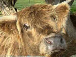 Φωτογραφία από το άλμπουμ του Tarra by the Tides σε Tarraville