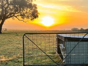 Φωτογραφία από το άλμπουμ του Tarra by the Tides σε Tarraville