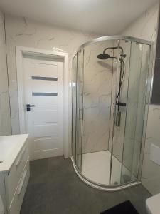 Kúpeľňa v ubytovaní Apartament Wolności