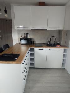 Kuchyňa alebo kuchynka v ubytovaní Apartament Wolności