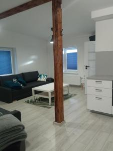 Kuchyňa alebo kuchynka v ubytovaní Apartament Wolności