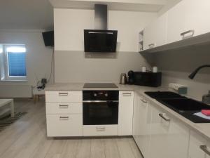 Kuchyňa alebo kuchynka v ubytovaní Apartament Wolności