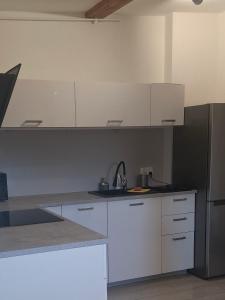 Kuchyňa alebo kuchynka v ubytovaní Apartament Wolności