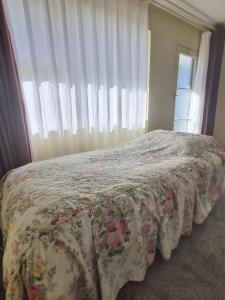 Postel nebo postele na pokoji v ubytování Cedar Lodge Motel Hamilton