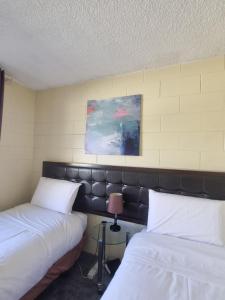 Postel nebo postele na pokoji v ubytování Cedar Lodge Motel Hamilton