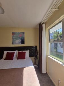 Postel nebo postele na pokoji v ubytování Cedar Lodge Motel Hamilton