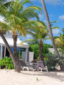 Taman di luar Nettle Bay Beach - Mer Caraïbes - Piscine +42 gambar