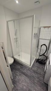 a bathroom with a glass shower and a toilet at Le Banksy hyper centre avec terrasse in Niort +20 photos