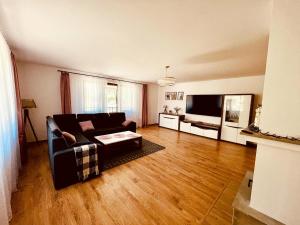Televízia a/alebo spoločenská miestnosť v ubytovaní Apartament Rybical