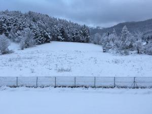 Sherpa durante o inverno