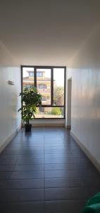 Fotografia z galérie ubytovania Diamond Suite Fiumicino Casa vacanze v destinácii Fiumicino