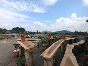 a group of wooden benches with potted plants at Kirungi Vacation Homes - Large Bamboo Studio room with access to top roof in Fort Portal +7 photos