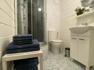 a bathroom with a shower and a sink and a toilet at Domek-noclegi in Sandomierz