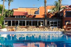 a flock of birds sitting in a swimming pool at Las Palmeras in Crevillente