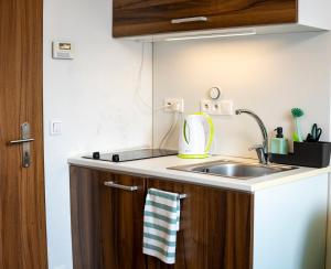Kuchyňa alebo kuchynka v ubytovaní Apartmany Kouty