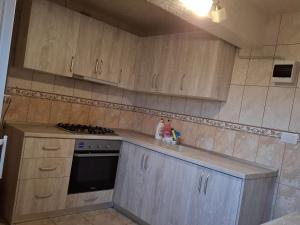 プトナにあるPensiunea Putnisoaraのギャラリーの写真