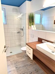 a bathroom with a shower toilet and a sink at Ferienwohnungen Oliver Bayer in Bad Schallerbach +23 photos