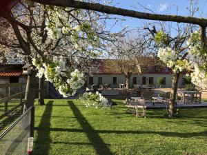a garden with white flowering trees in front of a building at Appartement Koksijde in Koksijde
