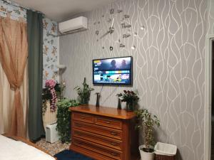 TV a/nebo společenská místnost v ubytování FARISTHA house