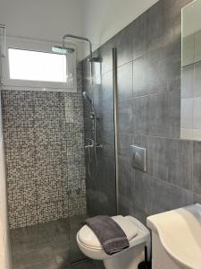 a bathroom with a shower and a toilet and a sink at Acheron Nest in Gliki