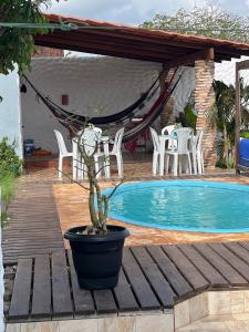 a potted plant on a wooden deck next to a pool at Recanto Dos Lençóis in Barreirinhas
