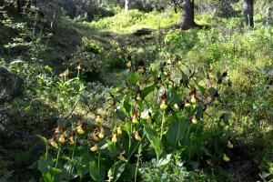 Jardín al aire libre en Familie Pfefferkorn