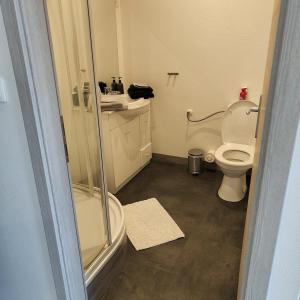 a bathroom with a shower and a toilet at Appartement tout équipé in Nogent